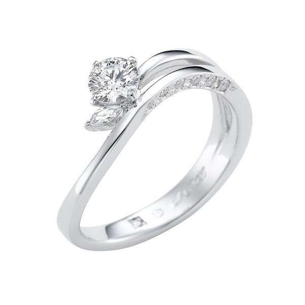 Started Snow ���Ϥ��ޤ��