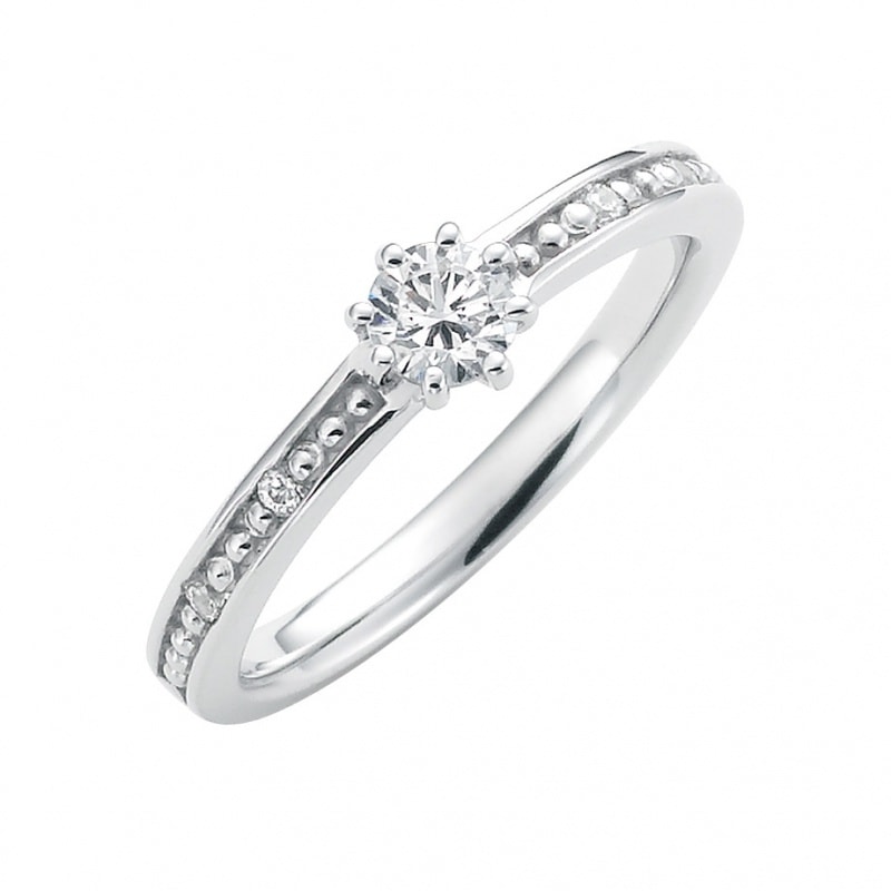 Delightful Snow ��̲��ʤ���������