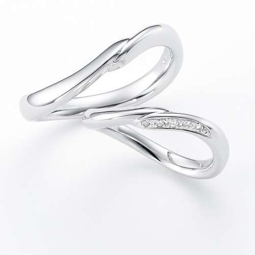 Taking Snow ����ȼ��