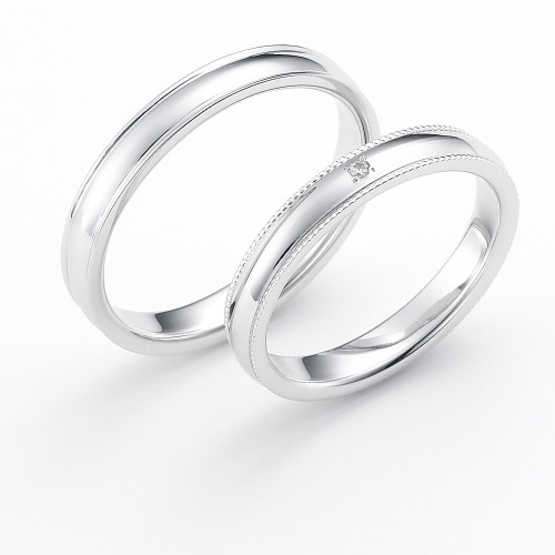 Walk with Snow ����������