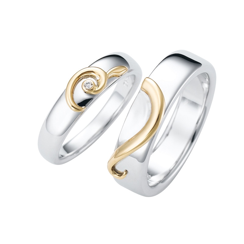 Fusion Snow ��ͻ���