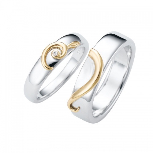 Fusion Snow ��ͻ���