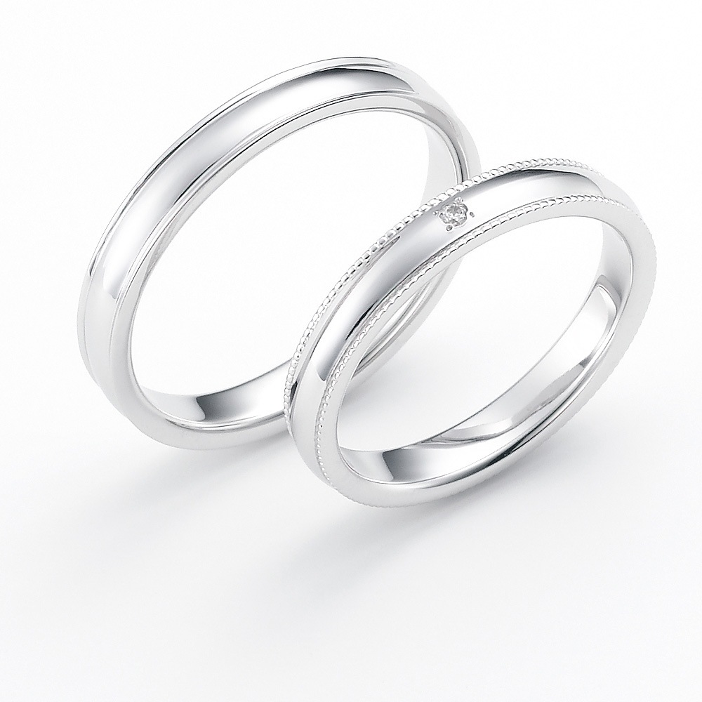 Walk with Snow ����������