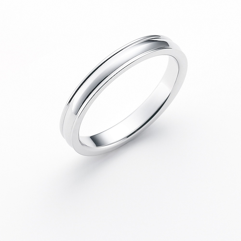 Walk with Snow ����������