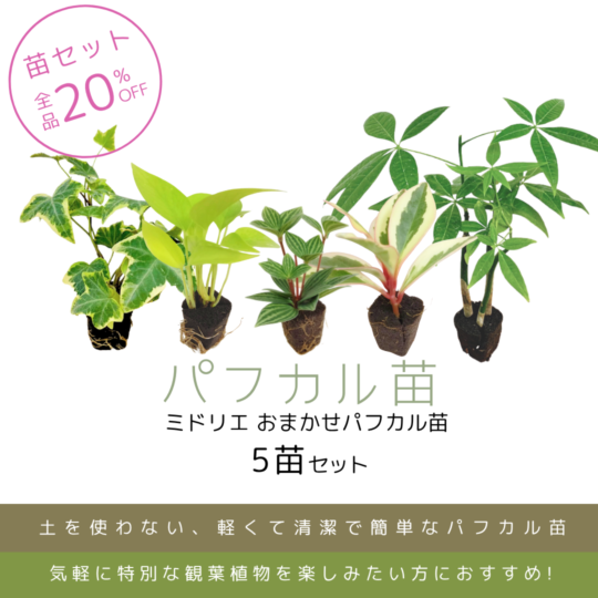 葉っぱ 000000001430_JCsTePs.png