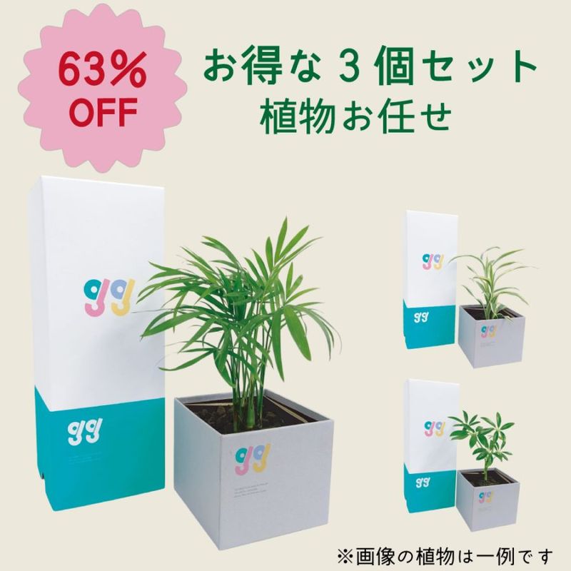 ʪǤ3ĥå Box Vase