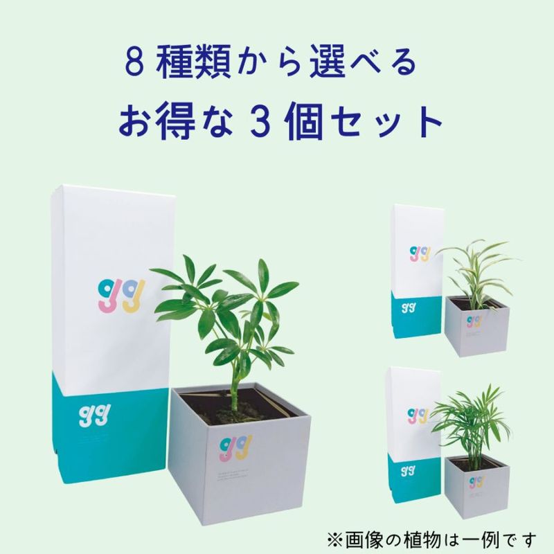 ʪ٤ 3ĥå Box Vase