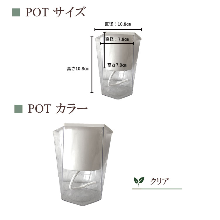 ̵POTPOT-M 󤻿å ʿʪǤ)