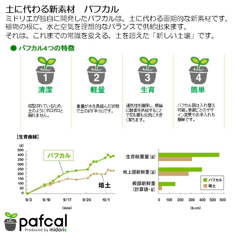 ̵POTPOT-M 󤻿å ʿʪǤ)