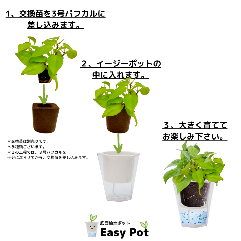 ̵POTPOT-B ñ(3ѥեդ) [٤POT顼]