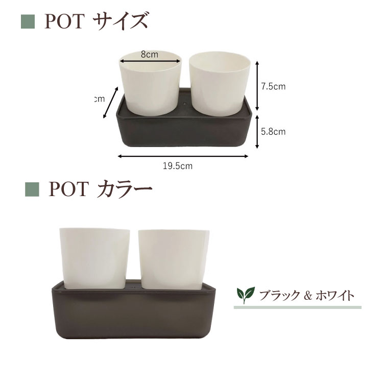 ̵POTPOT-Q 󤻿åȡʿʪǤ