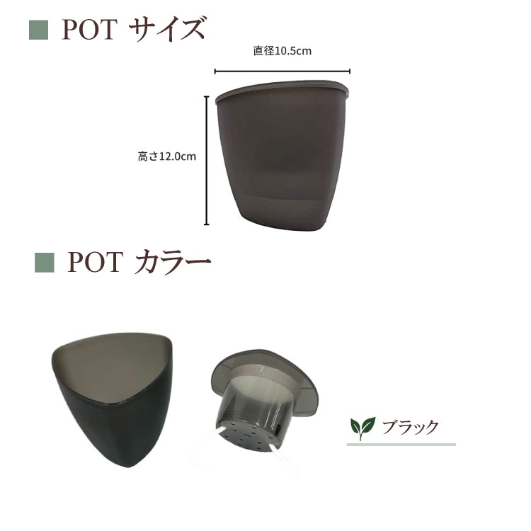 ̵POTPOT-V 󤻿åȡʿʪǤ