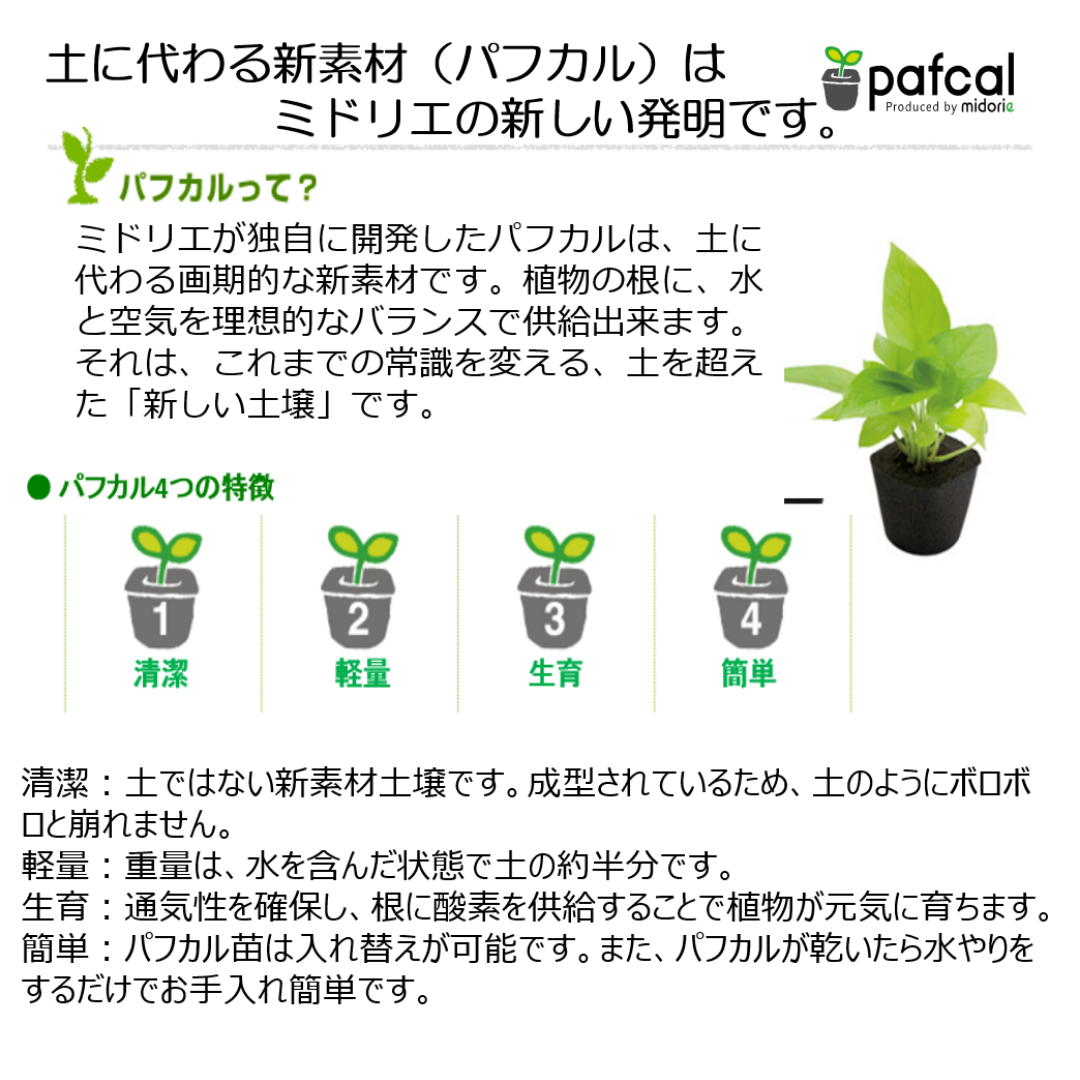 ̵POTPOT-U 󤻿åȡ٤POT顼ʪǤ