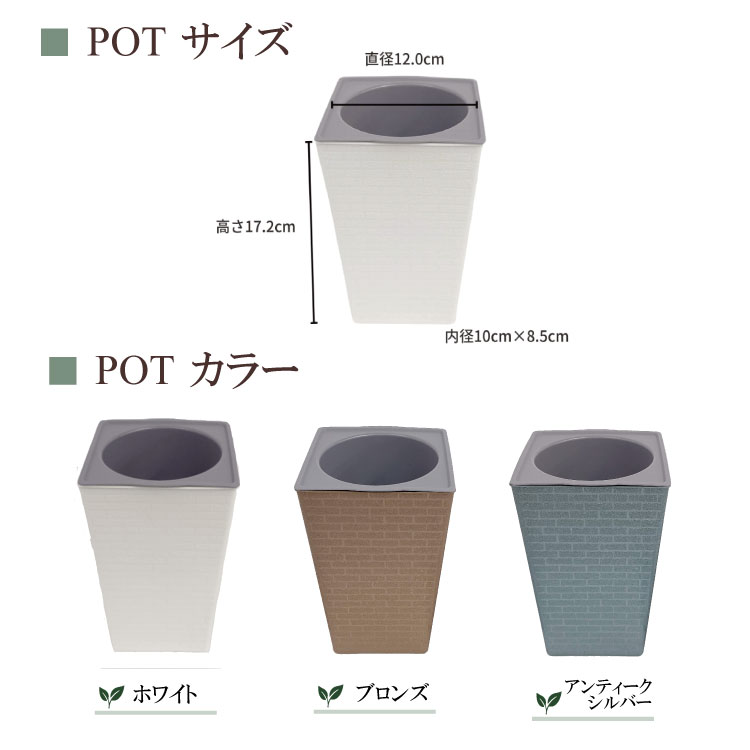 ̵POTPOT-U 󤻿åȡ٤POT顼ʪǤ