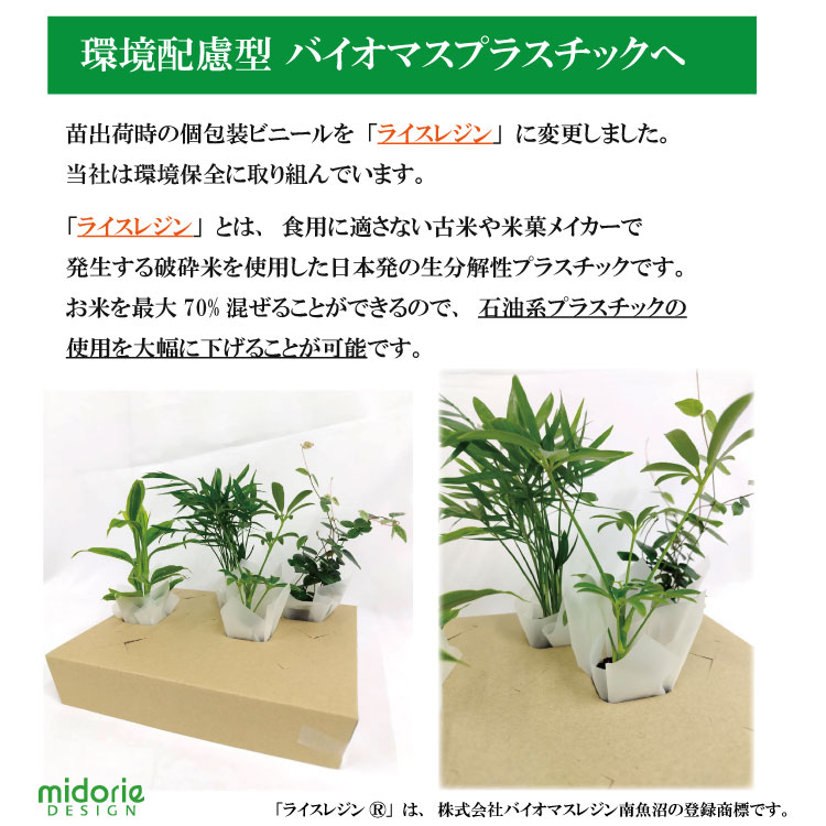 ���ġ������ե��������