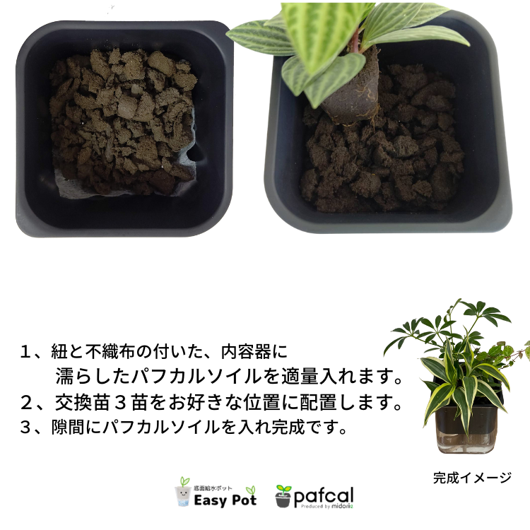 �ڤ��� �󤻿��� �ɥ饻�� ��ǥ� H���꡼�� 306 �ۥ磻��