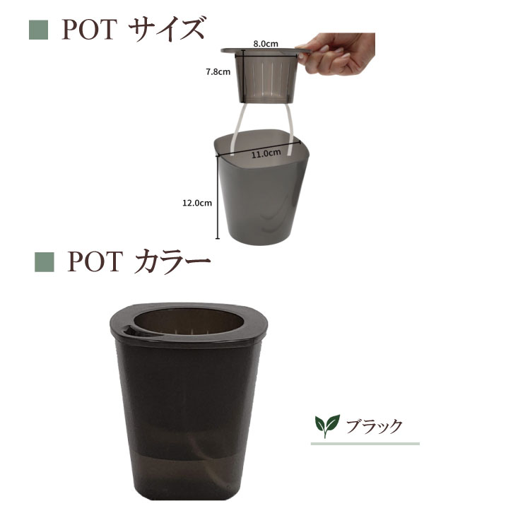 ̵POTPOT-S 󤻿åȡʿʪǤ