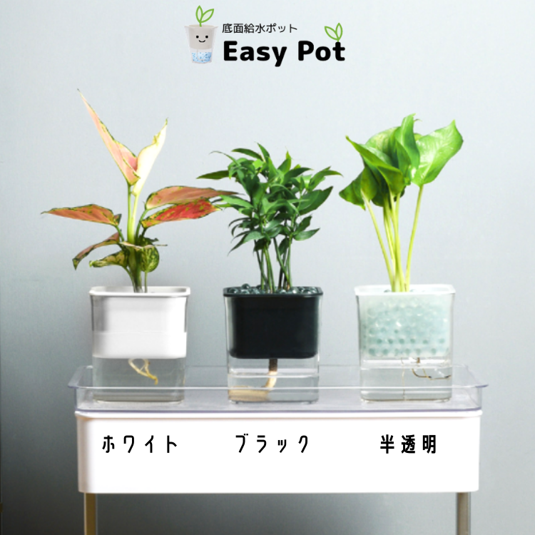 �ڤ��� �󤻿��� �ɥ饻�� ��ǥ� H���꡼�� 306 ȾƩ��