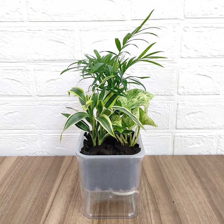 11_000000000807.jpg?1678209906