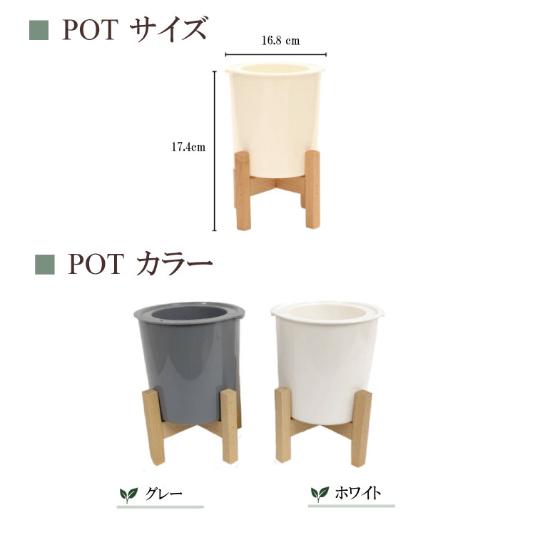 �����̵��POT��POT-T �󤻿��������٤�POT���顼����ʪ��Ǥ����