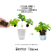 �����̵��POT��POT-T �󤻿��������٤�POT���顼����ʪ��Ǥ����