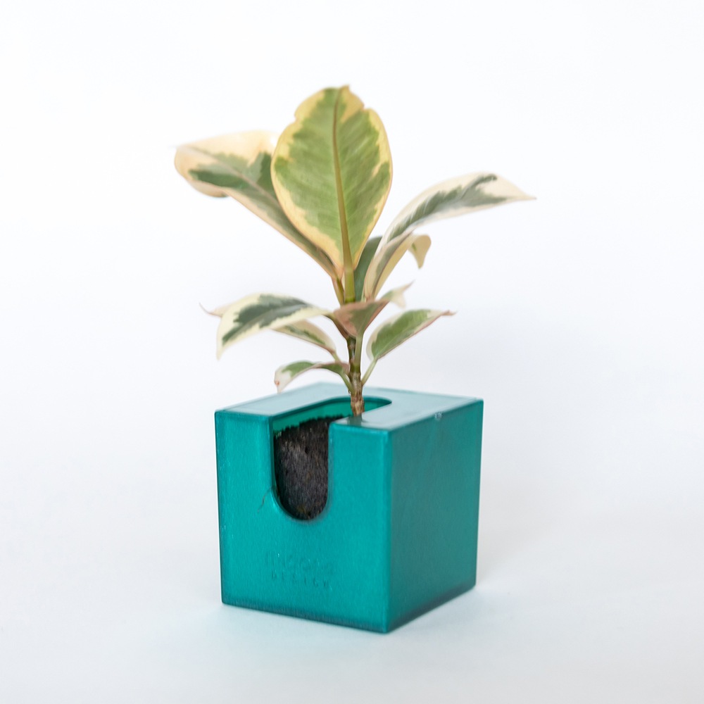 ñ䳫!ۤɤˤǤ㤦!!ɤ˳ݤ뤫襤տʪΥߥɥ꤬1ǽ!(Ϥޤ)  ñ/ߥɥꥨ/Midorie/ߥɥ/Ѵտʪ/ѥե/Pafcal