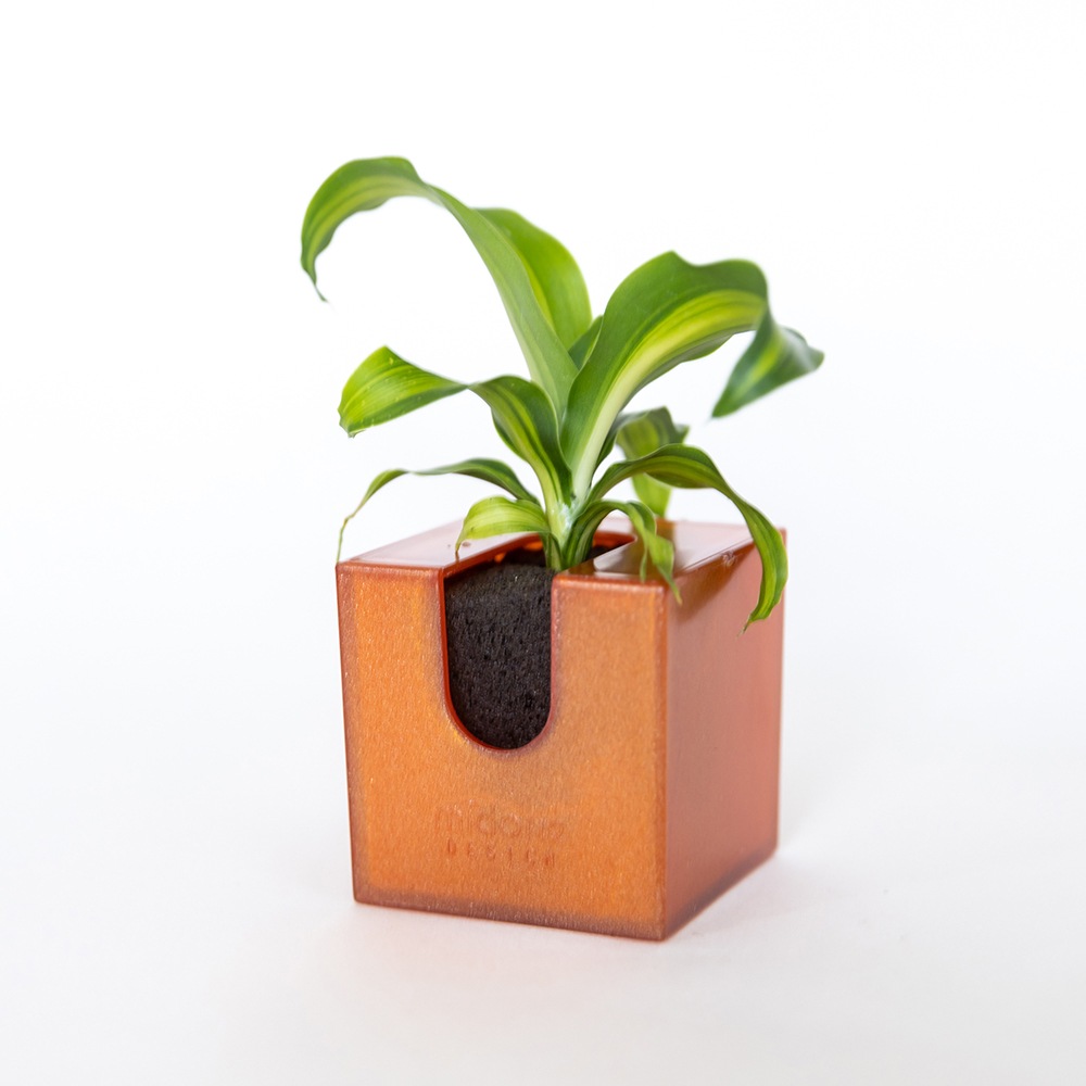 ñ䳫!ۤɤˤǤ㤦!!ɤ˳ݤ뤫襤տʪΥߥɥ꤬1ǽ!(Ϥޤ)  ñ/ߥɥꥨ/Midorie/ߥɥ/Ѵտʪ/ѥե/Pafcal