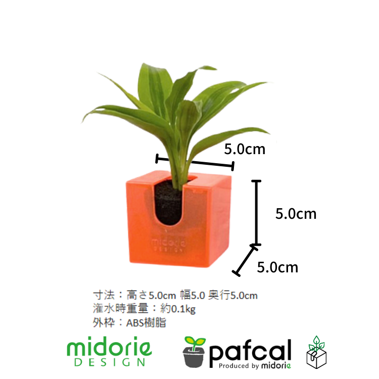 ñ䳫!ۤɤˤǤ㤦!!ɤ˳ݤ뤫襤տʪΥߥɥ꤬1ǽ!(Ϥޤ)  ñ/ߥɥꥨ/Midorie/ߥɥ/Ѵտʪ/ѥե/Pafcal