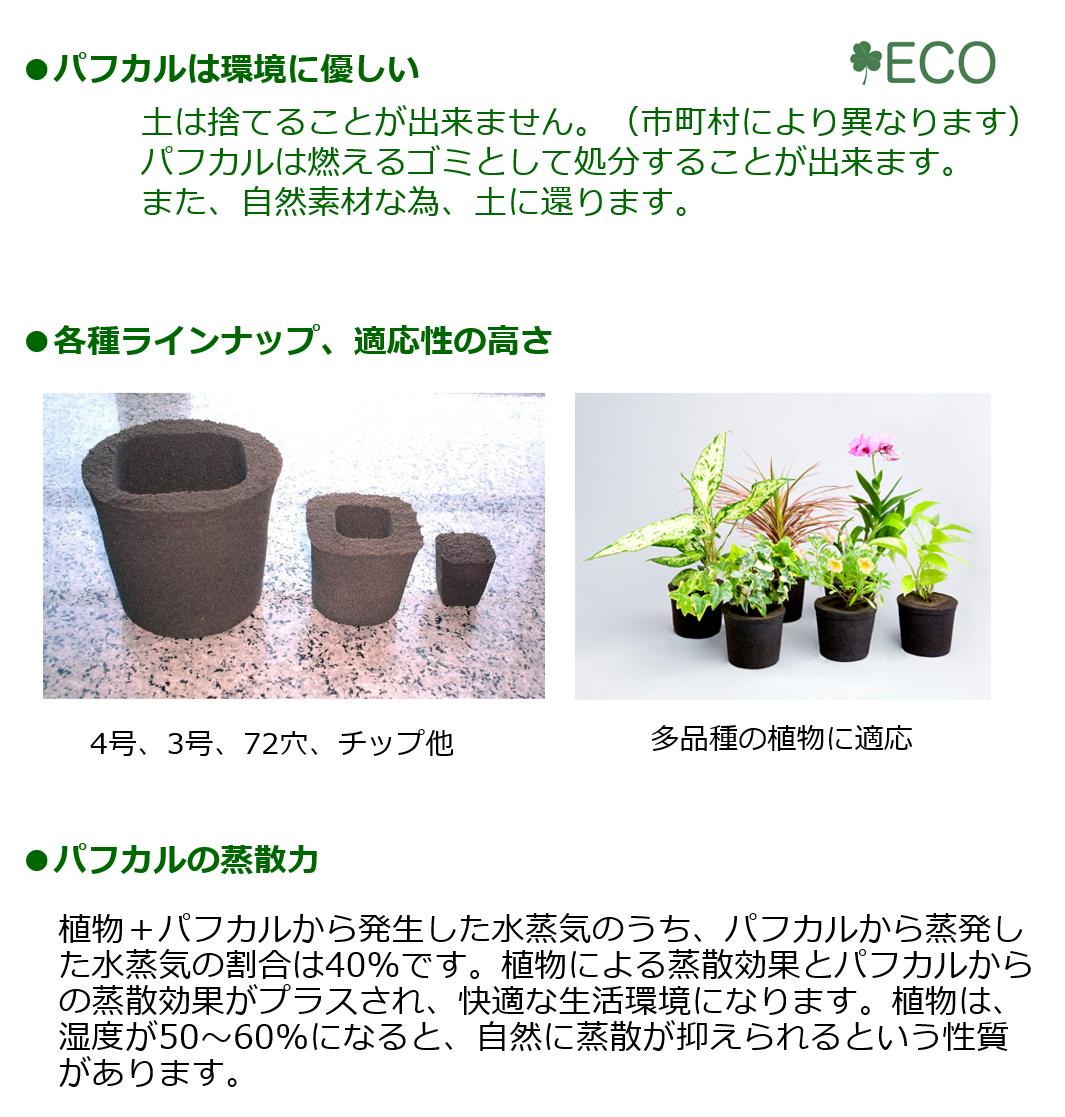 ñ䳫!ۤɤˤǤ㤦!!ɤ˳ݤ뤫襤տʪΥߥɥ꤬1ǽ!(Ϥޤ)  ñ/ߥɥꥨ/Midorie/ߥɥ/Ѵտʪ/ѥե/Pafcal