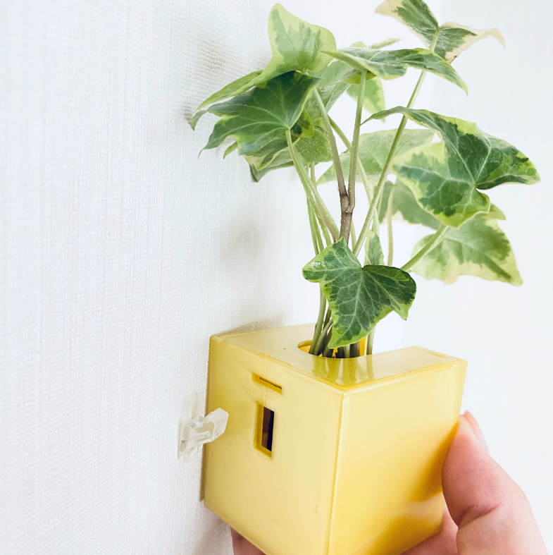 ñ䳫!ۤɤˤǤ㤦!!ɤ˳ݤ뤫襤տʪΥߥɥ꤬1ǽ!(Ϥޤ)  ñ/ߥɥꥨ/Midorie/ߥɥ/Ѵտʪ/ѥե/Pafcal