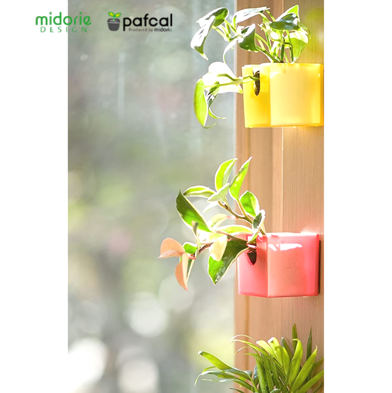 ñ䳫!ۤɤˤǤ㤦!!ɤ˳ݤ뤫襤տʪΥߥɥ꤬1ǽ!(Ϥޤ)  ñ/ߥɥꥨ/Midorie/ߥɥ/Ѵտʪ/ѥե/Pafcal