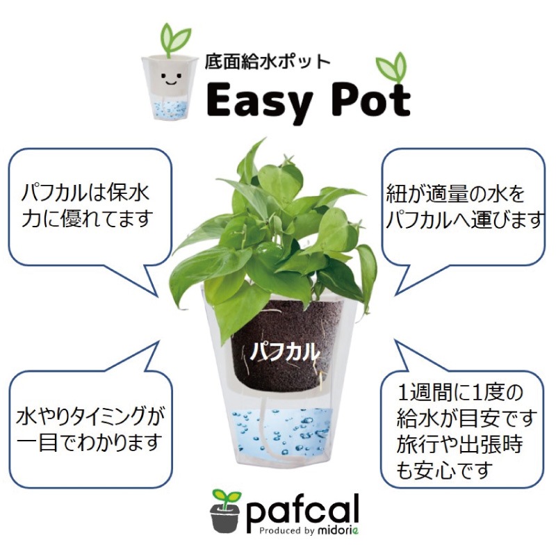 ̵POTPOT-E 󤻿 (ʪǤ)