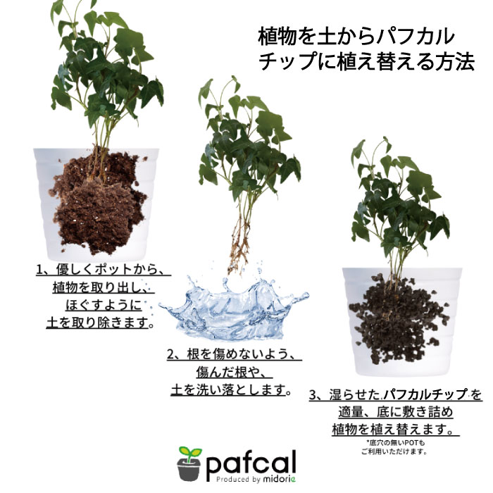 �ѥե�����å� 0.5L�ʵ�̾�Ρ��ѥե��륽�����