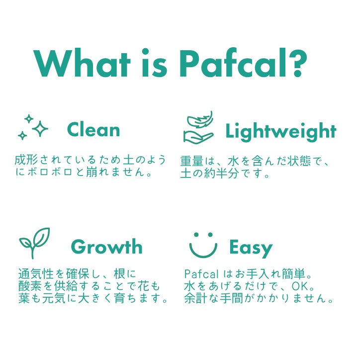 �ѥե�����å� 0.5L�ʵ�̾�Ρ��ѥե��륽�����