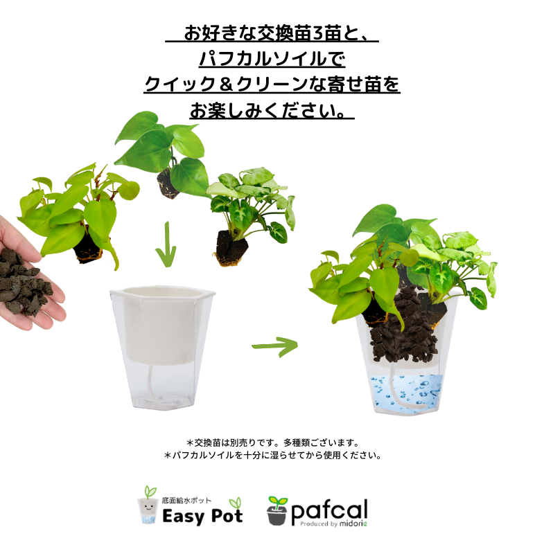 �����̵��POT��POT-B ���٤륫�顼 ñ��(�ġ��ѥե���ʤ�)