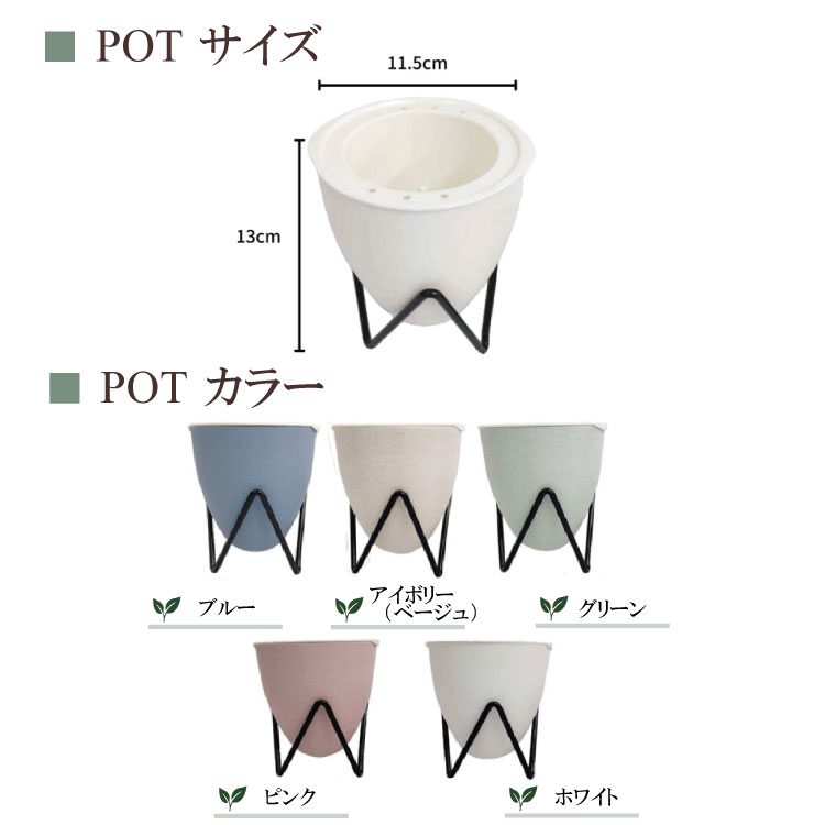 �����̵��POT��POT-B ���٤륫�顼 ñ��(�ġ��ѥե���ʤ�)