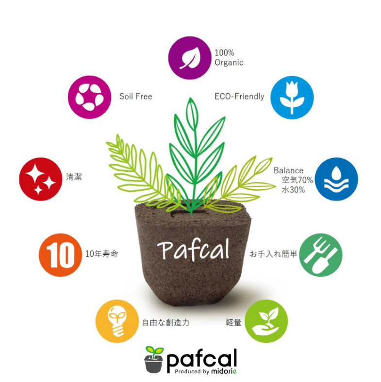 �����̵��POT��POT-B ���٤륫�顼 ñ��(�ġ��ѥե���ʤ�)