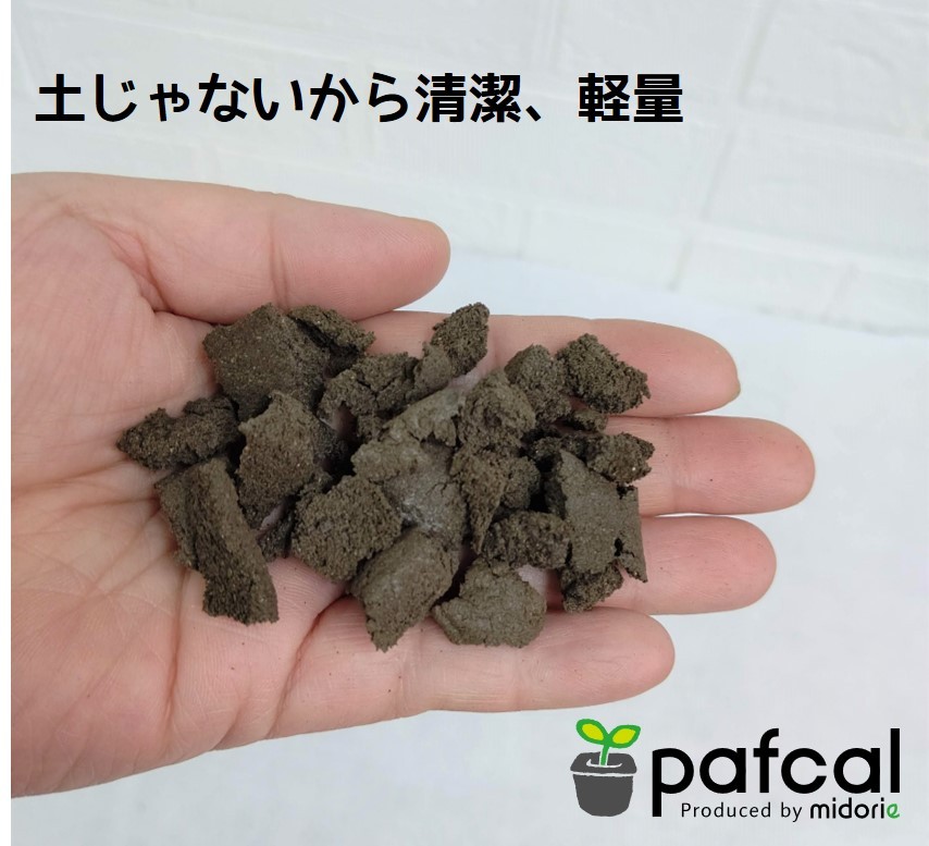 �ѥե�����å� 0.3L�ʵ�̾�Ρ��ѥե��륽�����