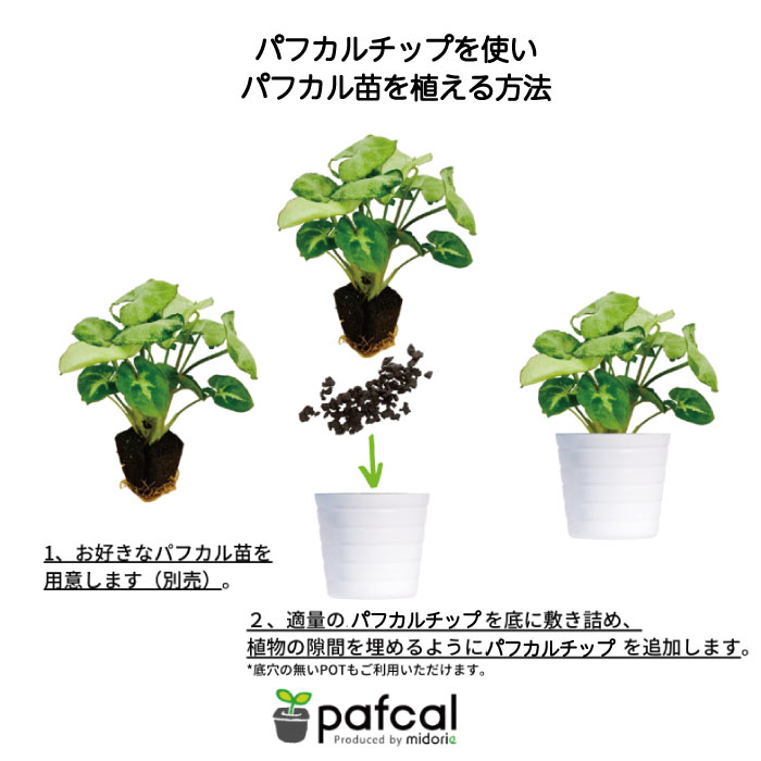 �ѥե�����å� 0.3L�ʵ�̾�Ρ��ѥե��륽�����