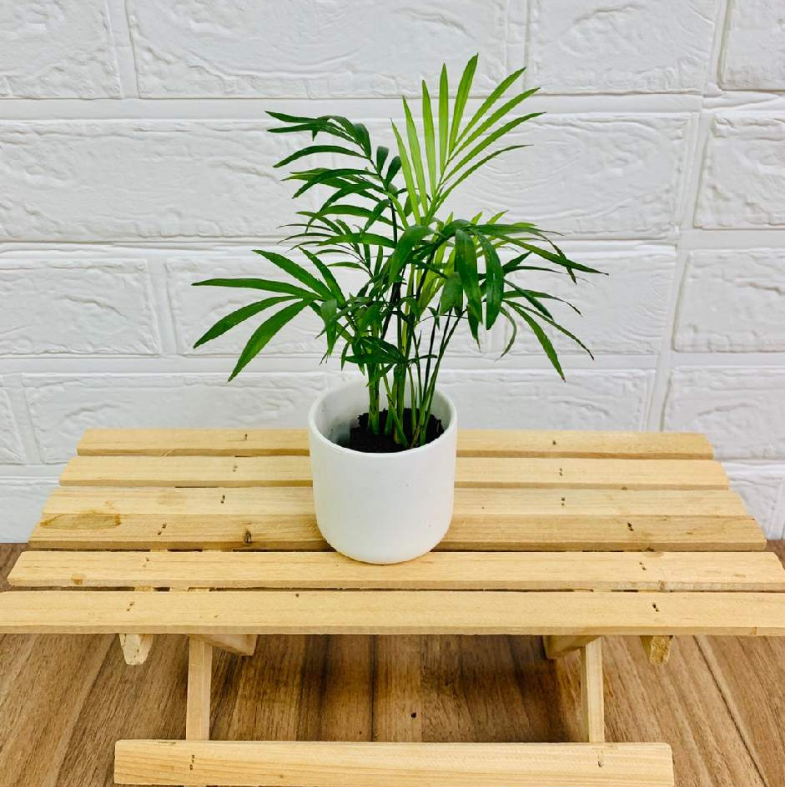 ���ġ��ơ��֥�䥷