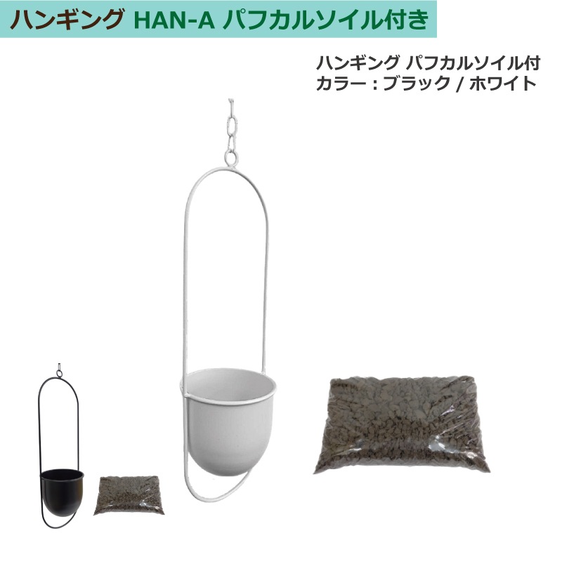 ϥ󥮥 A꡼ ѥե륽աʥ֥å/ۥ磻ȡ