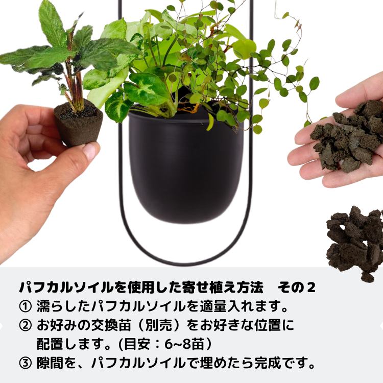 ϥ󥮥 A꡼ ѥե륽աʥ֥å/ۥ磻ȡ