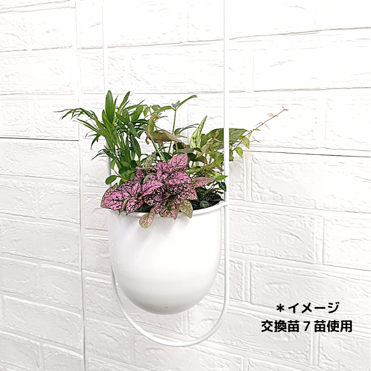 ϥ󥮥 A꡼ ѥե륽աʥ֥å/ۥ磻ȡ