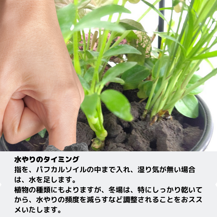 ϥ󥮥 A꡼ ѥե륽աʥ֥å/ۥ磻ȡ