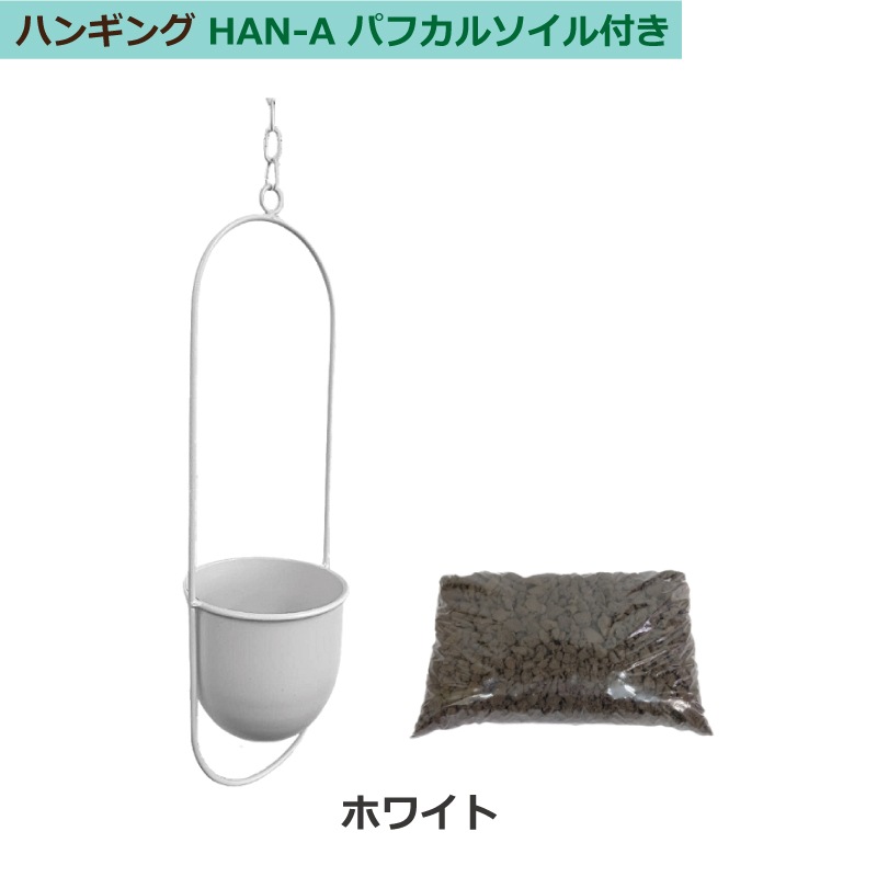 ϥ󥮥 A꡼ ѥե륽աʥ֥å/ۥ磻ȡ