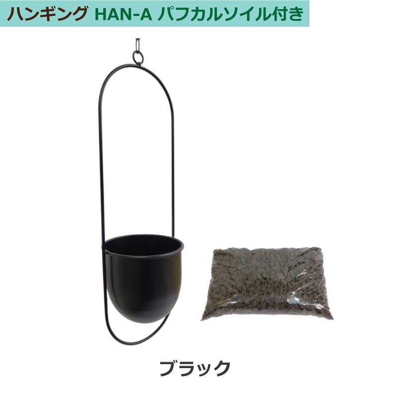 ϥ󥮥 A꡼ ѥե륽աʥ֥å/ۥ磻ȡ