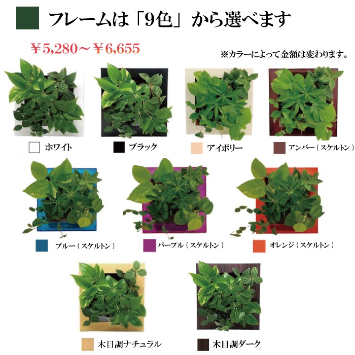 ȥ֥åե䡼 ǥ FRAME 20M1