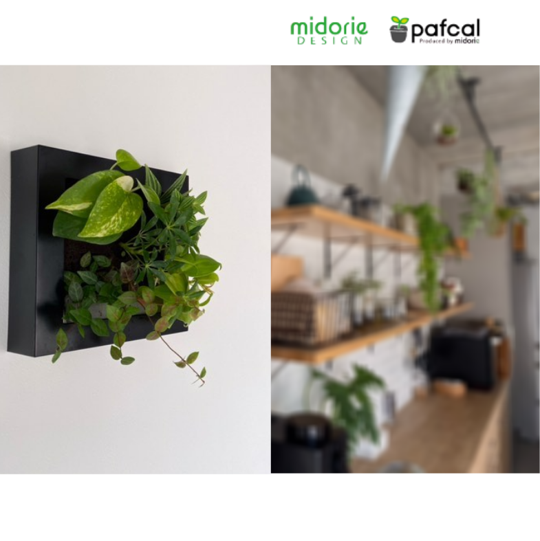 ȥ֥åե䡼 ǥ FRAME 20M1