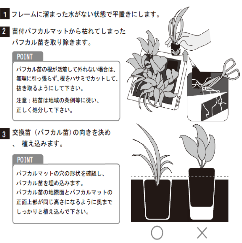 ʪδտʪ  祵 ꡼ GREET21W1