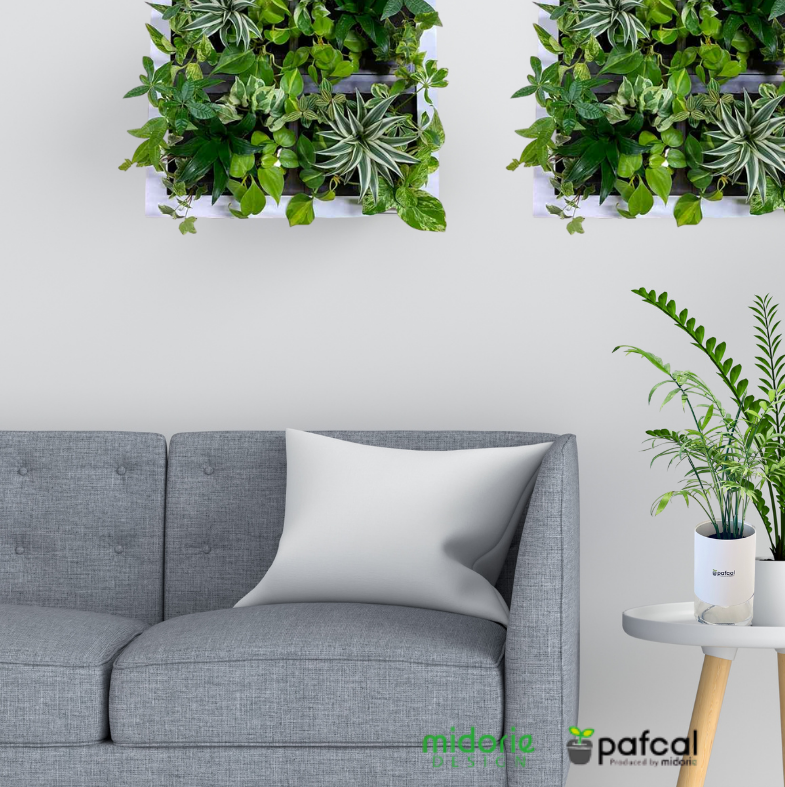 ʪδտʪ  祵 ꡼ GREET21W1